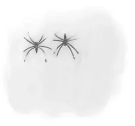 pajeczyna-na-halloween-pajak-5-kolorow-60-gram-hit