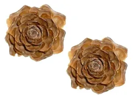 roza-cedrowa-naturalna-2-szt-roze-cedrowe-susz-hit