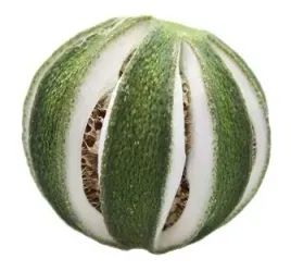 limonka-zielona-suszona-owoce-limonki-dekor-5-cm