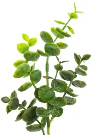 eukaliptus-zielony-sztuczny-kwiat-galazka-26-cm