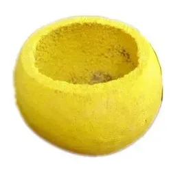 bell-cup-duzy-zolty-glowka-susz-egzotyczny-zolta