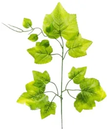 lisc-winogrona-winogrono-galazka-zielona-az-55-cm