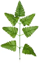 paproc-galazka-listkami-lisc-liscie-paprotka-42-cm