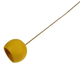 bell-cup-zolty-duzy-na-patyku-susz-egzotyczny-hit