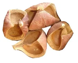 luska-lupina-zawijas-naturalna-susz-egzotyczny-4-sztuki