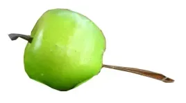jablko-jablka-duze-sztuczne-jasnozielone-35-cm