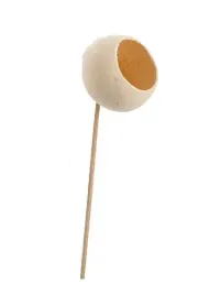 bell-cup-bialy-na-patyku-duzy-susz-egzotyczny-hit