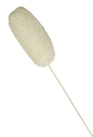 luffa-biala-lufa-wybielana-na-patyku-susz-egzotic