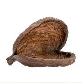 badam-naturalny-serca-susz-egzotyczny-dekor-6-12cm