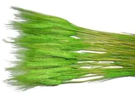 susz-pszenzyto-zboza-suszone-zboze-klosy-5-kolorow-wielkanoc-palma-zyto
