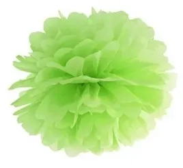 pompon-bibulowy-25-cm-kula-17-kolorow-urodziny