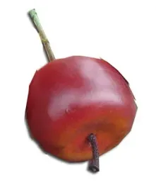 jablko-czerwone-zolte-45-cm-jablka-duze-sztuczne