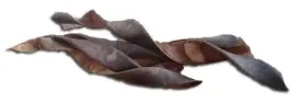 straczki-fasoli-straki-fasola-susz-egzotyczny-2szt