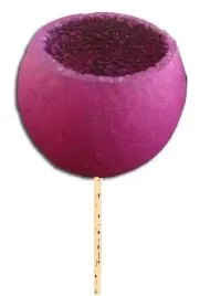 bell-cup-duzy-na-patyku-fioletowy-susz-egzotyczny
