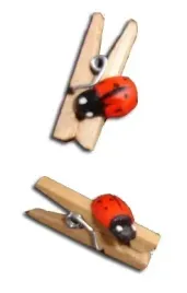 klamerka-klamerki-drewniane-klips-biedronki-2-sztuki