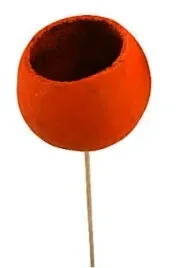 bell-cup-pomaranczowy-na-patyku-susz-egzotyczny