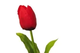 naturalny-tulipan-czerwony-tulipany-kwiat-54cm-hit
