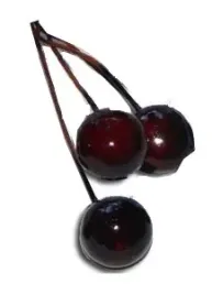 jagodki-bordowe-sztuczne-kulki-kule-owoce-3szt