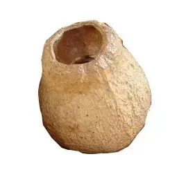 zdrewniale-owoce-eukaliptus-dekor-susz-egzotyczny