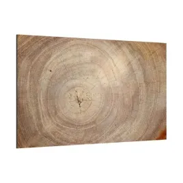 tablica-magnetyczna-obraz-szklany-drewno-pien-sloje-60x40-na-sciane