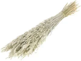 owies-bialy-bielony-naturalny-peczek-40-cm-zboze