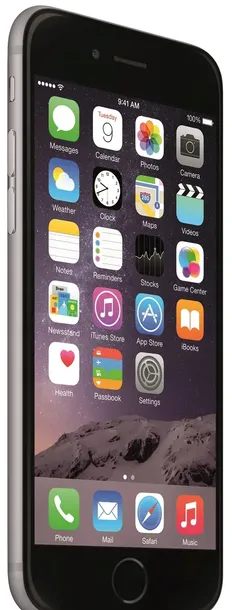 smartfon-apple-iphone-6-64-gb-czarny-ladowarka-typ-akumulatora-litowo-jonowy