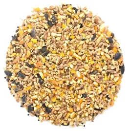 pasza-dla-kur-niosek-ze-slonecznikiem-kokoszka-nioska-bez-gmo-20-kg-elpol