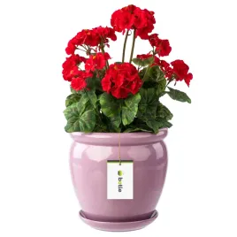 doniczka-ceramiczna-duza-o28cm-z-podstawka-roz