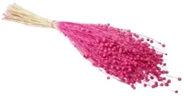 len-rozowy-40-cm-klosy-peczek-susz-naturalny-60-sztuk-roz-dekoracja-domu