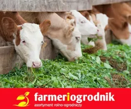 trawa-pastewna-mieszanka-traw-pastewnych-kosno-lakowa-na-gleby-ciezkie-10kg