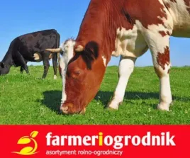 trawa-pastewna-mieszanka-traw-z-lucerna-pastwiskowa-roens-10kg