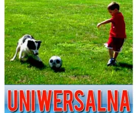 trawa-uniwersalna-mocny-szybki-trawnik-nasiona-traw-5kg-samozageszczajaca