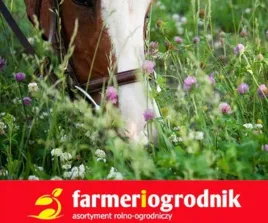 trawa-pastewna-mieszanka-traw-wysokobialkowa-kosno-lakowa-pastwiskowa-10kg