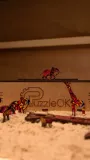 drewniane-puzzle-eco-simba-a4-marka-inna