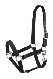 kantar-podszyty-dla-konia-start-economic-lined