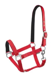 kantar-podszyty-dla-konia-start-economic-lined