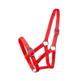 kantar-start-na-zrebie