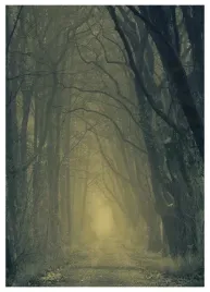 plakat-a3-30x40-w-ramie-tmp-las-08