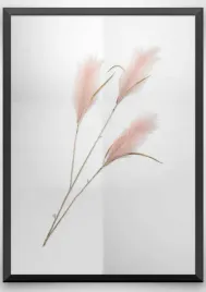plakat-a3-30x40-w-ramie-wmp-trawa-boho-9