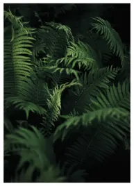 plakat-a3-30x40-w-ramie-tmp-liscie-05