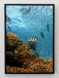 plakat-a3-30x40-w-ramie-jmp-morze-05