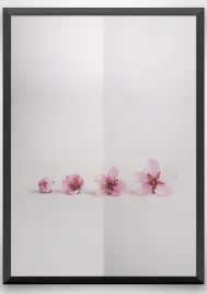 plakat-a3-30x40-w-ramie-wmp-kwiaty-4