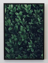 plakat-a3-30x40-w-ramie-jmp-liscie-14