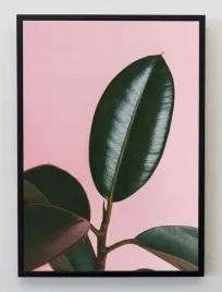 plakat-a3-30x40-w-ramie-jmp-liscie-13