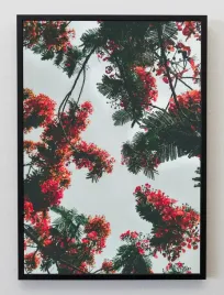 plakat-a3-30x40-w-ramie-jmp-liscie-02