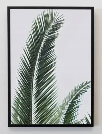 plakat-a3-30x40-w-ramie-jmp-liscie-09