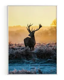 plakat-a3-30x40-w-ramie-rmp-jelen-01