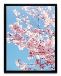 plakat-a3-30x40-w-ramie-tmp-kwiaty-06