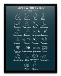 plakat-a3-30x40-w-ramie-tmp-edu-02