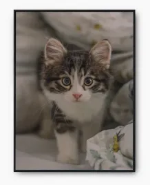 plakat-a3-30x40-w-ramie-imp-zwierzatka-cute-08